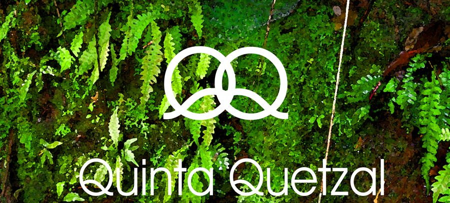 Quinta Quetzal